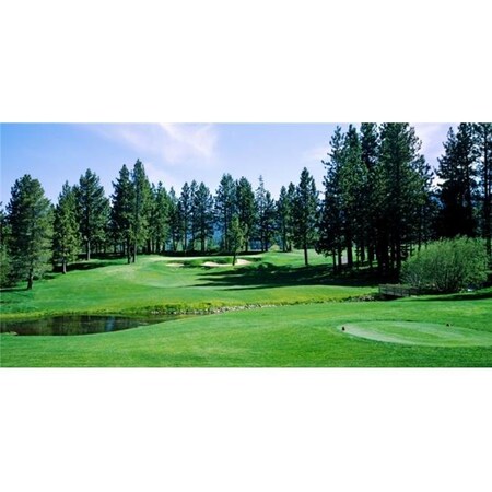 Biggies Biggies; Inc. GM-ETE-120 Golf Murals - Edgewood Tahoe - Extra Large GM-ETE-120